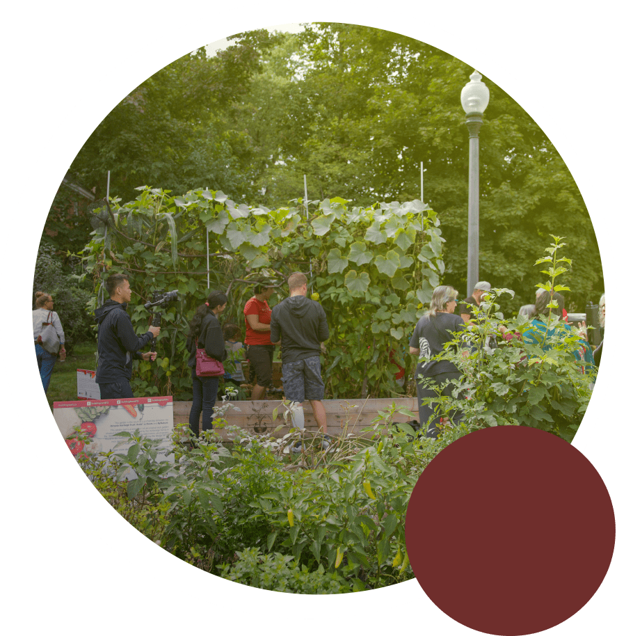 garden-circle-images