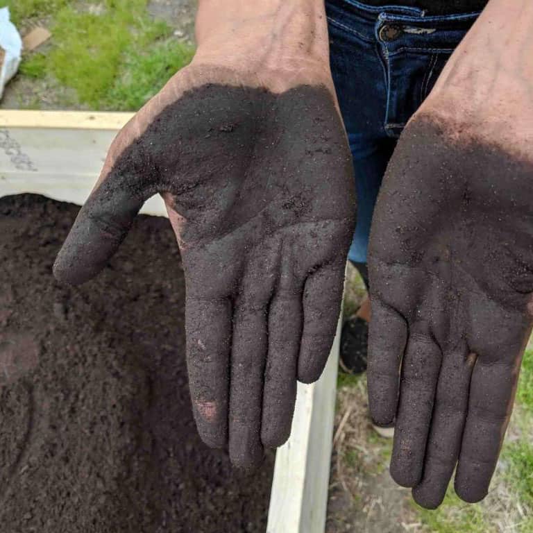 hands-in-dirt